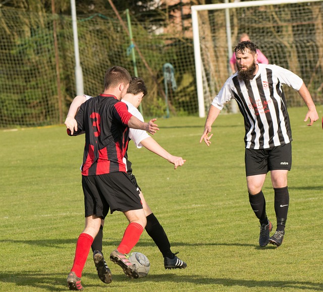 也发挥着关 也发挥着关